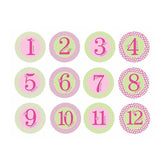 PEARHEAD Baby Milestone Stickers, Pink - ANB Baby